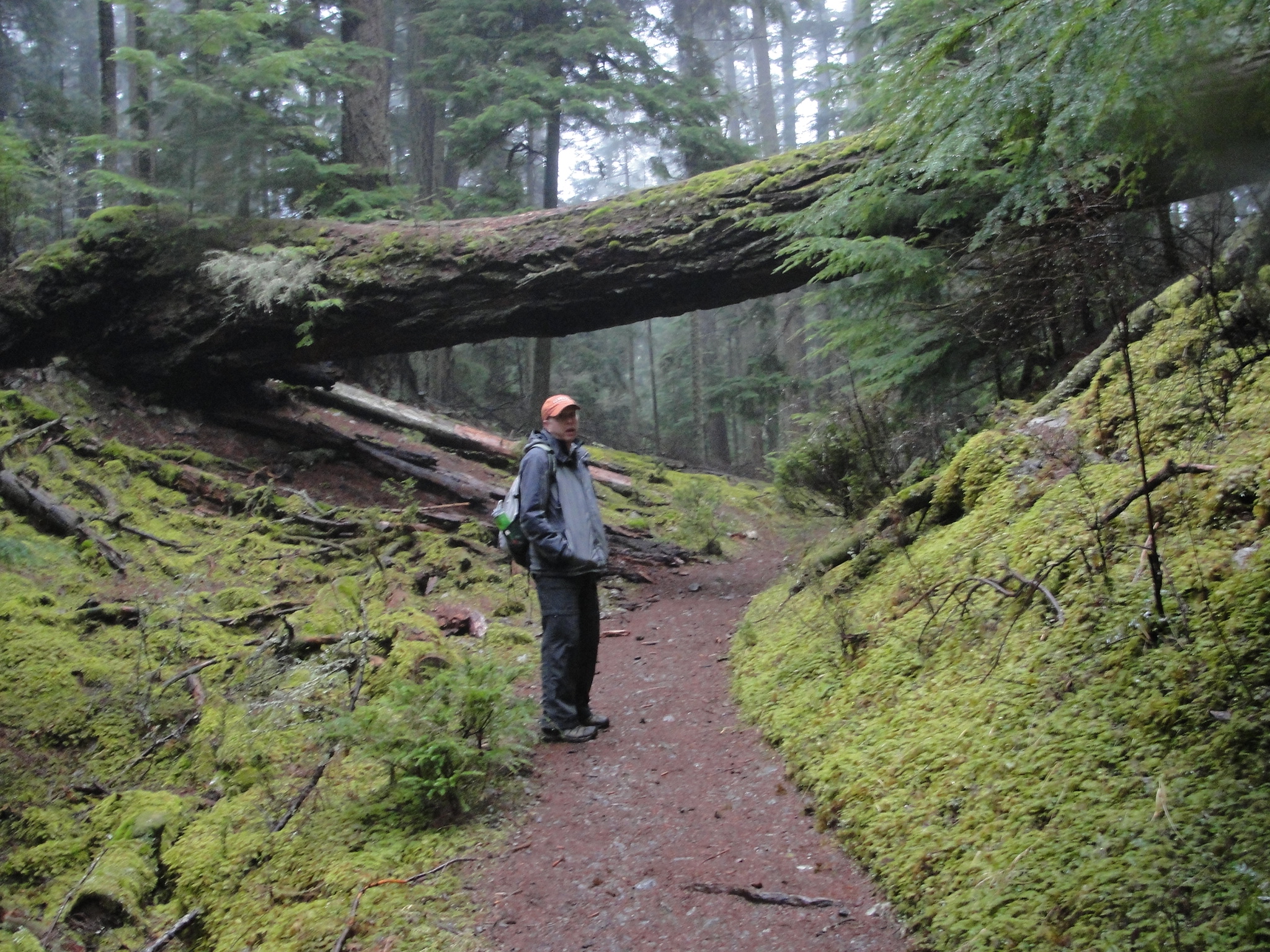 Favorite Orcas Island Hike Mountain Lake In Moran State Park Wildtalesof Com