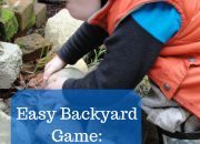 Easy Backyard Game- What's Under the Rock? | WildTalesof.com
