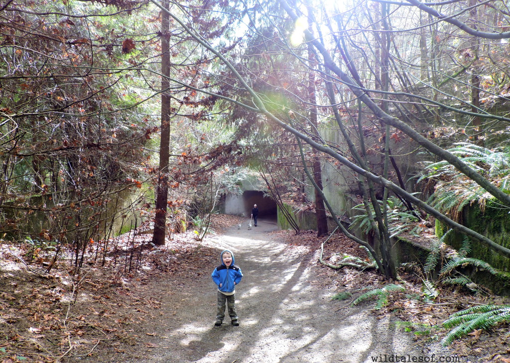Discovery Park Loop Trail: Seattle, WA | WildTalesof.com