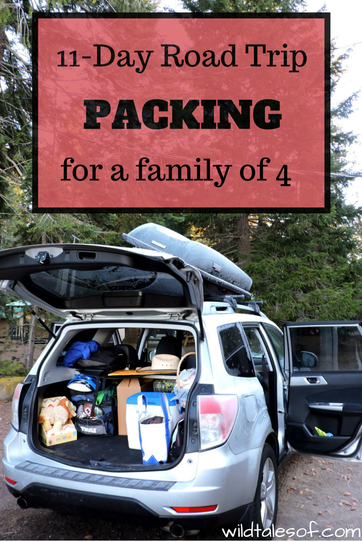Travel Size Road Trip Essentials, Mommy of four packing, Traveling  Essentials, Day ya The Water Park …