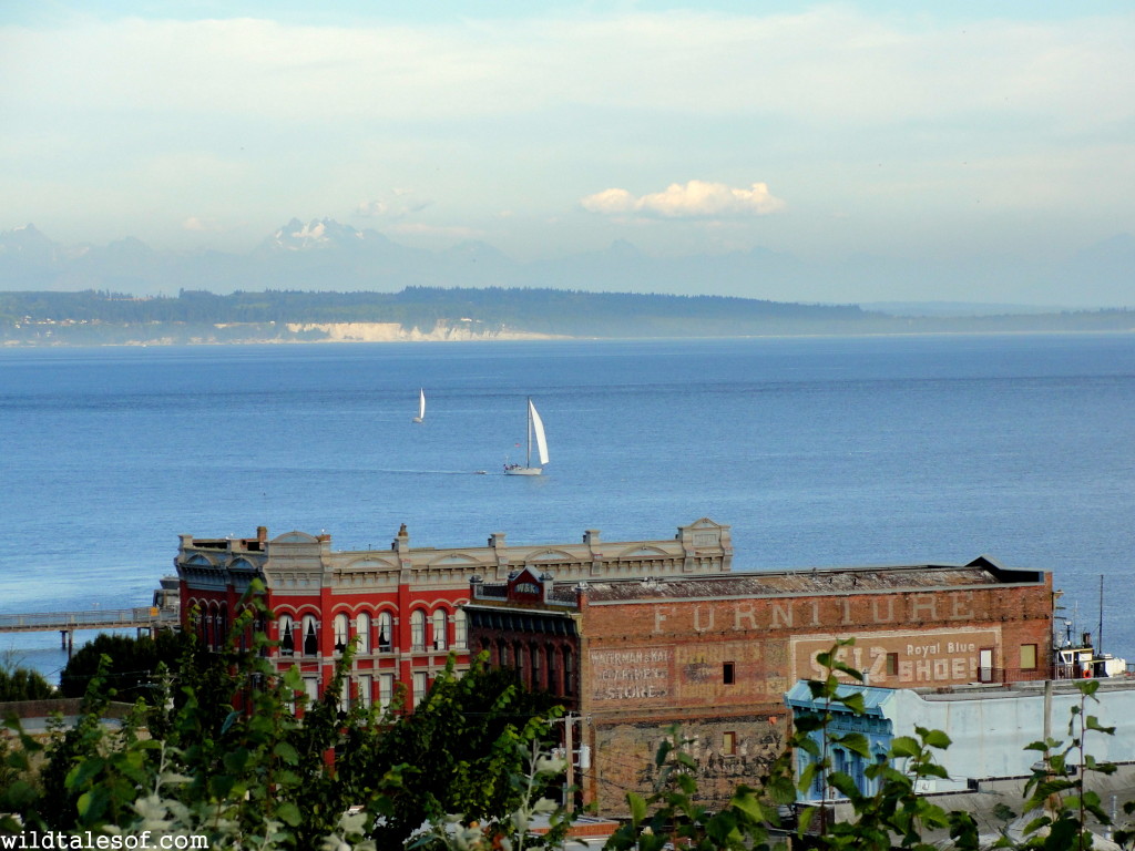 Port Townsend, WA--A Washington State Destination for Families | WildTalesof.com