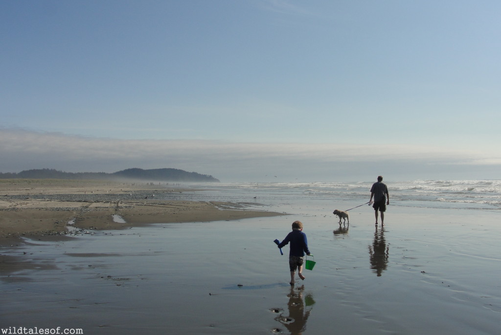 Long Beach, WA--A Washington State Destination for Families | WildTalesof.com