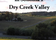 Wine Tasting with Kids in Sonoma’s Dry Creek Valley | WildTalesof.com