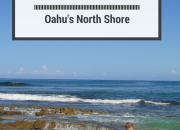 Chun's Reef: Tidepooling Fun on Oahu's North Shore | WildTalesof.com