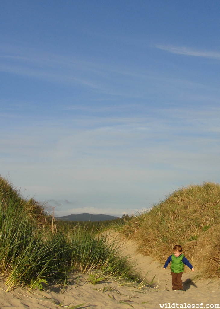 Nehalem Bay State Park, Oregon | WildTalesof.com