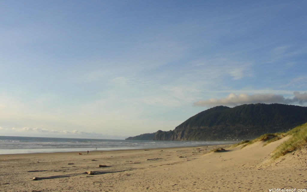 Nehalem Bay State Park, Oregon | WildTalesof.com