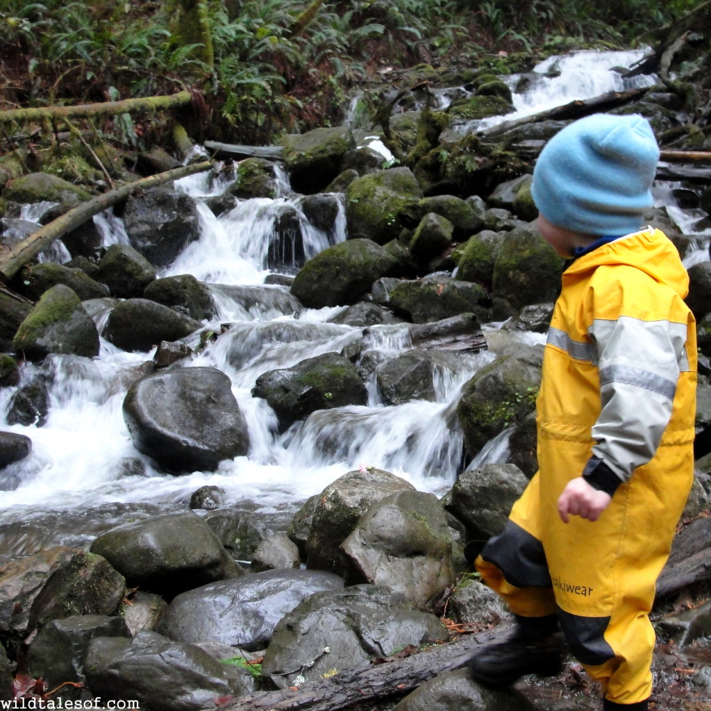 Wallace Falls State Park, Washington | WildTalesof.com