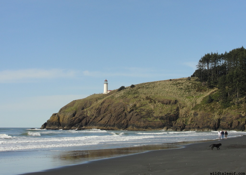 Cape Disappointment State Park | WildTalesof.com