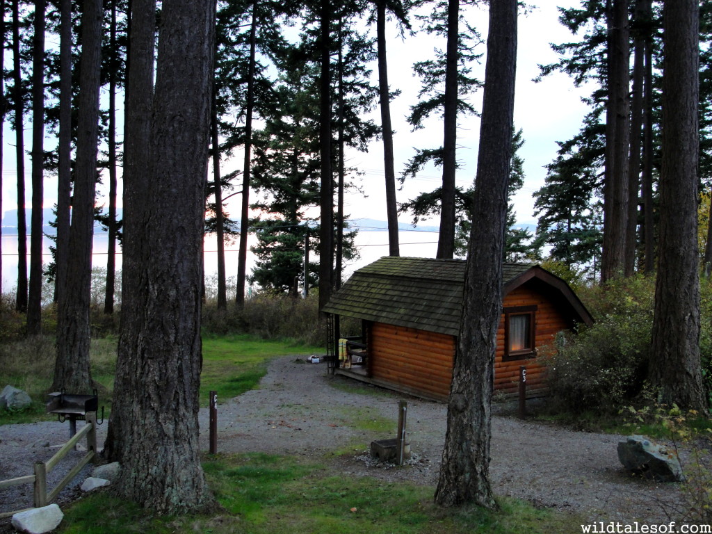 Pacific Northwest Cabins And Yurts 5 Family Favorites