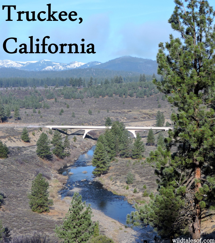 Truckee, CA with Kids: Where to Eat, Play & Stay | WildTalesof.com