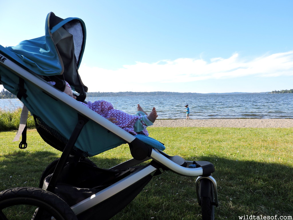 Thule Urban Glide Stroller Review | WildTalesof.com