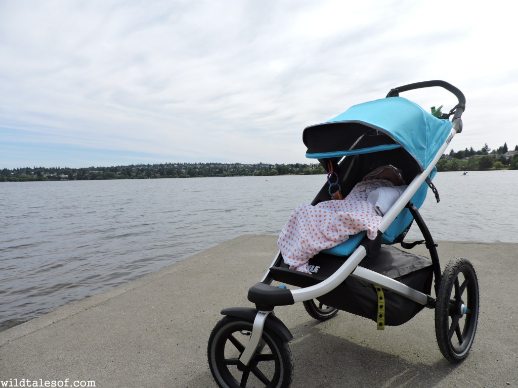 Thule Urban Glide Stroller Review | WildTalesof.com