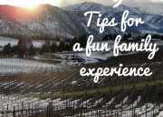 9 Tips for Wine Tasting with Kids | WildTalesof.com