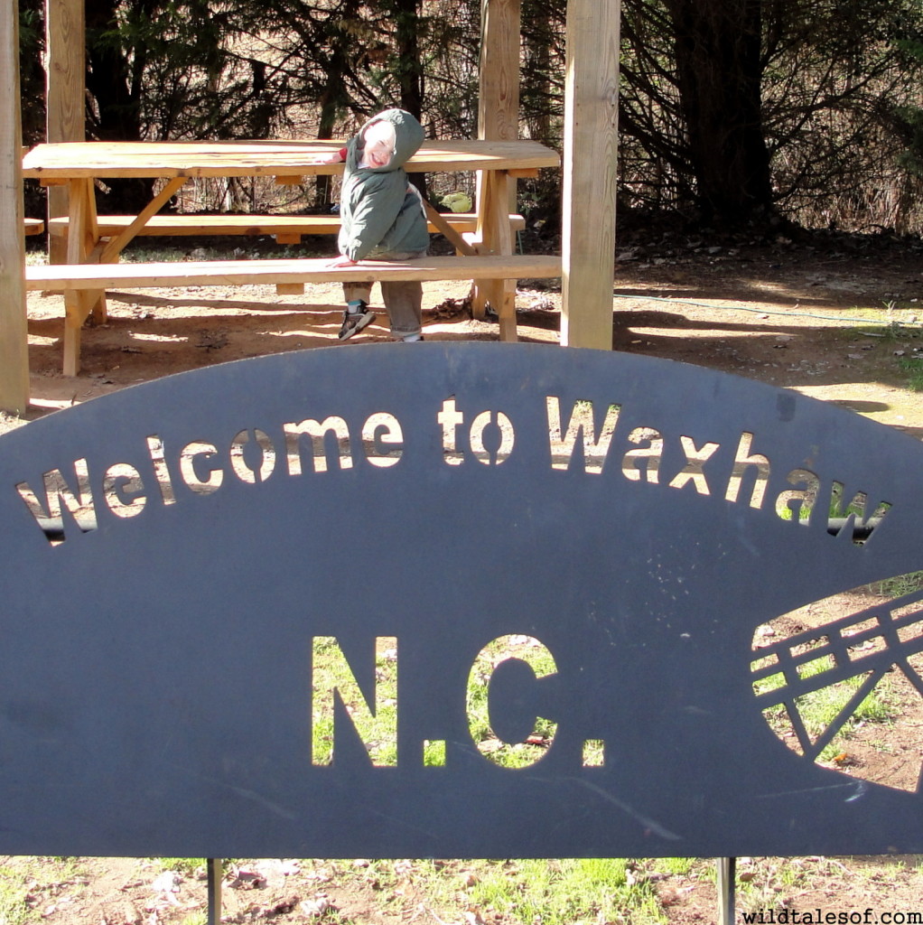 Southeast USA Travel: Waxhaw, NC with Kids | WildTalesof.com