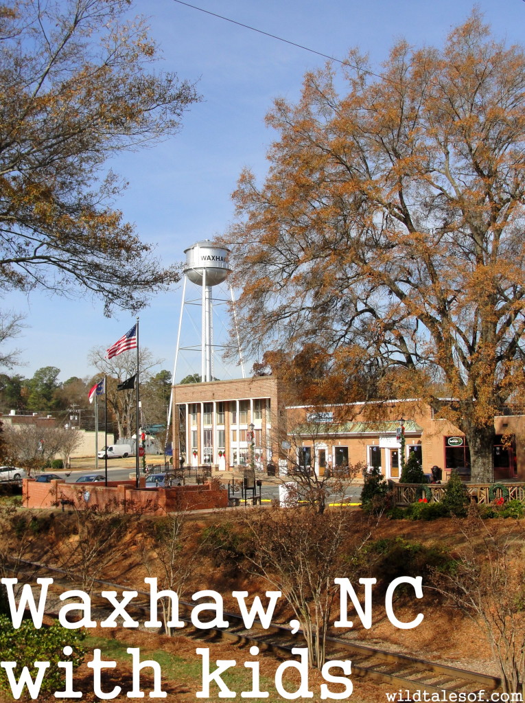 Southeast USA Travel: Waxhaw, NC with Kids | WildTalesof.com
