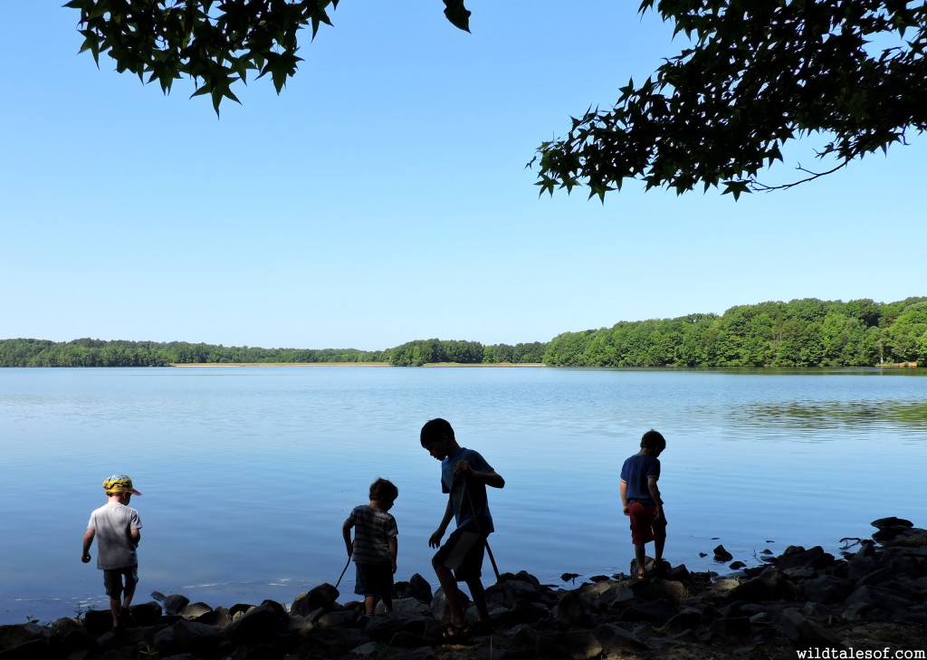 Managing Heat and Humidity Outdoors with Kids | WildTalesof.com