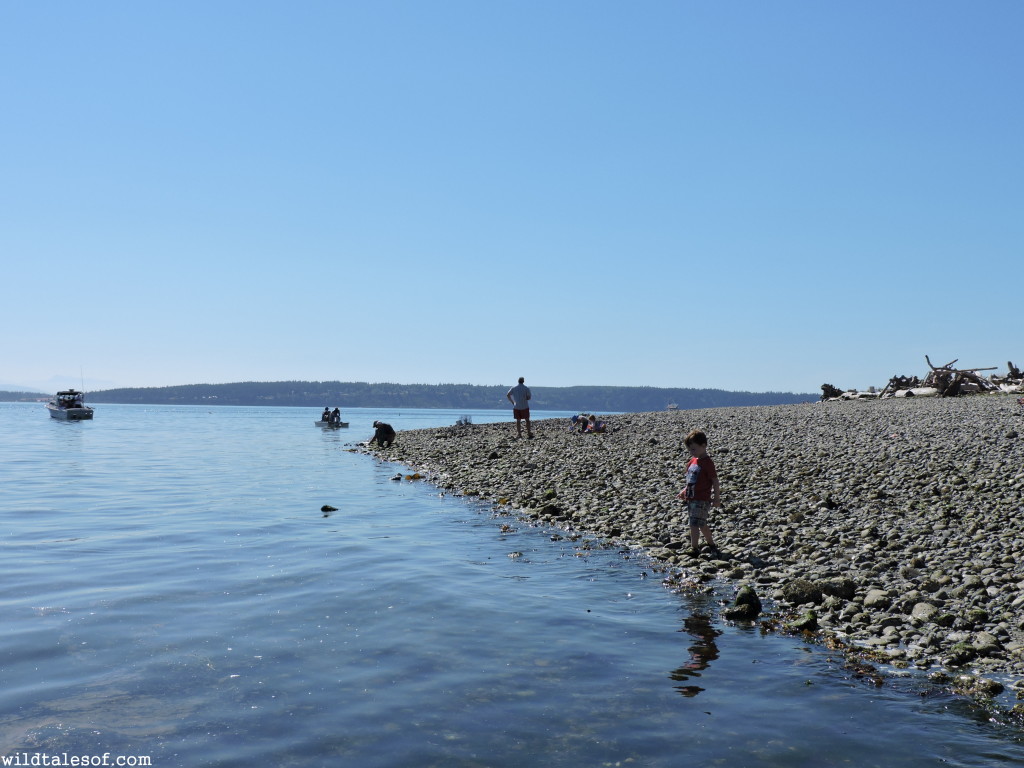 Camano Island, Washington | WildTalesof.com