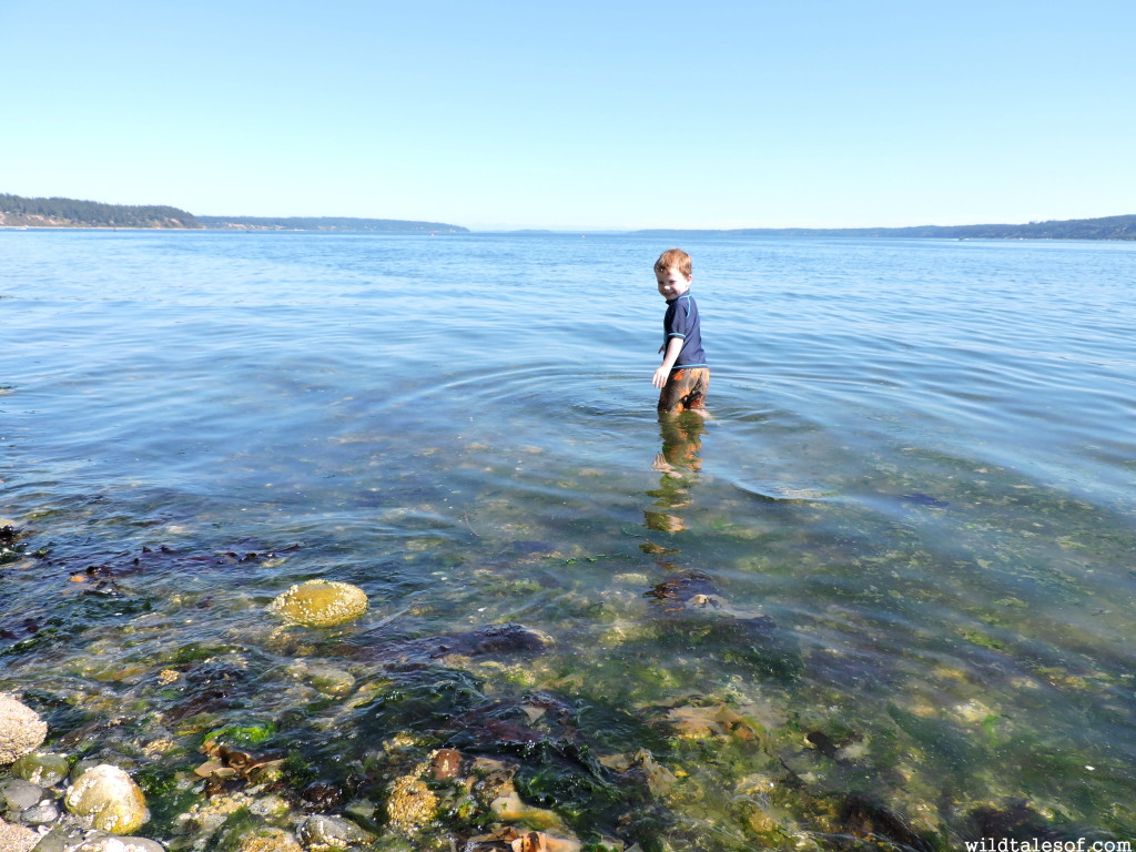 Camano Island, Washington | WildTalesof.com