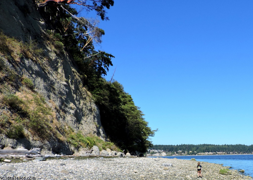 Camano Island, Washington | WildTalesof.com