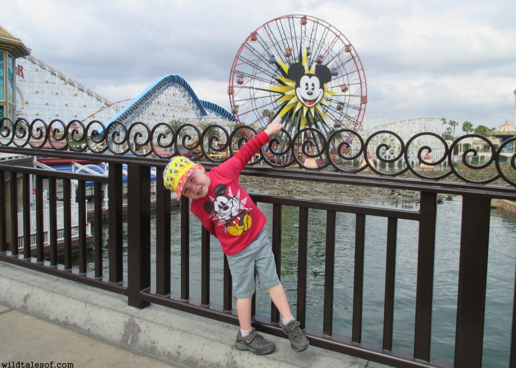 Disneyland with a Preschooler: How to Prepare for a Successful Trip | WildTalesof.com