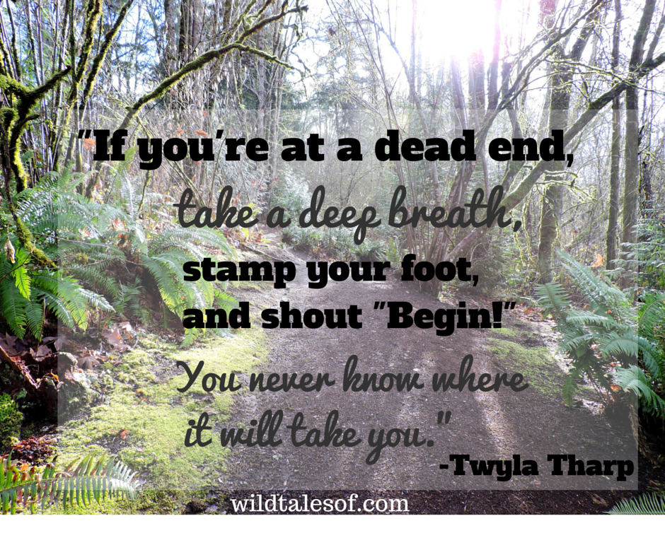 If you're at a dead end, take a deep breath, stamp your foot, and shout "Begin!" You never know where it will take you. | WildTalesof.com