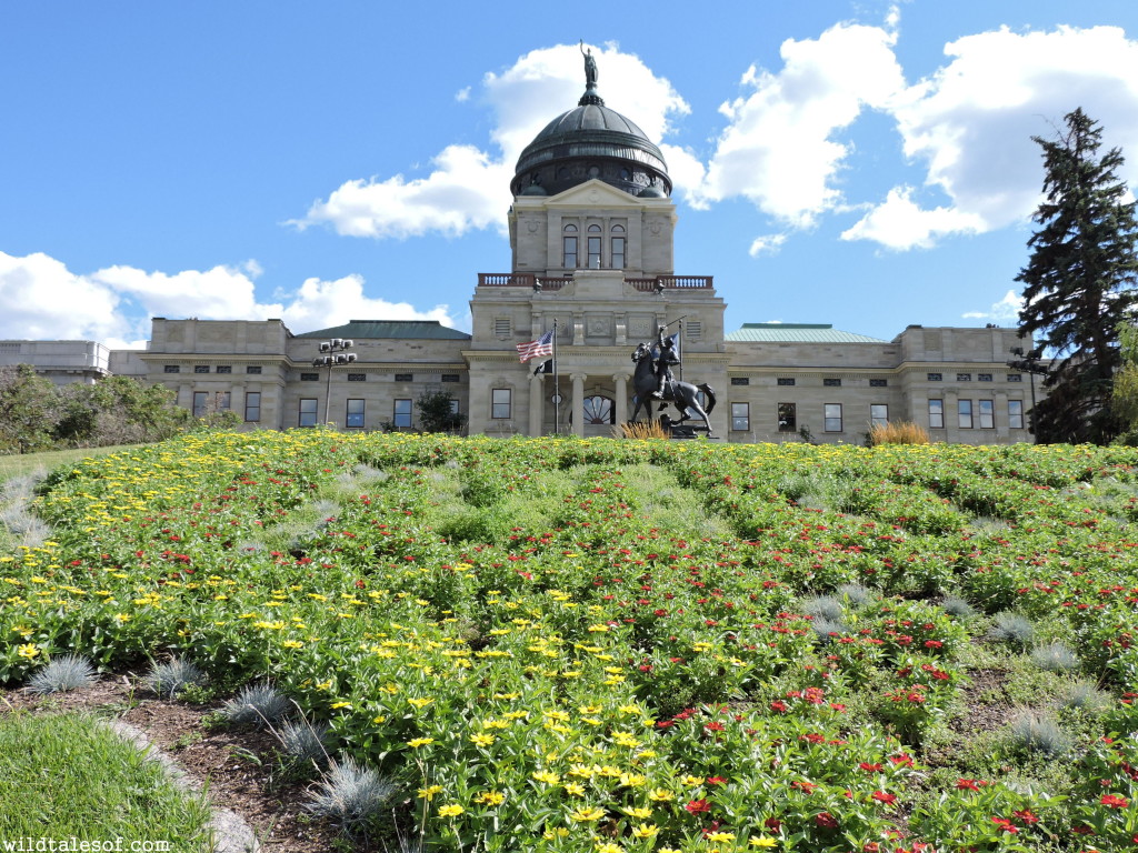 Montana State Capitol--Helena, MT | WildTalesof.com