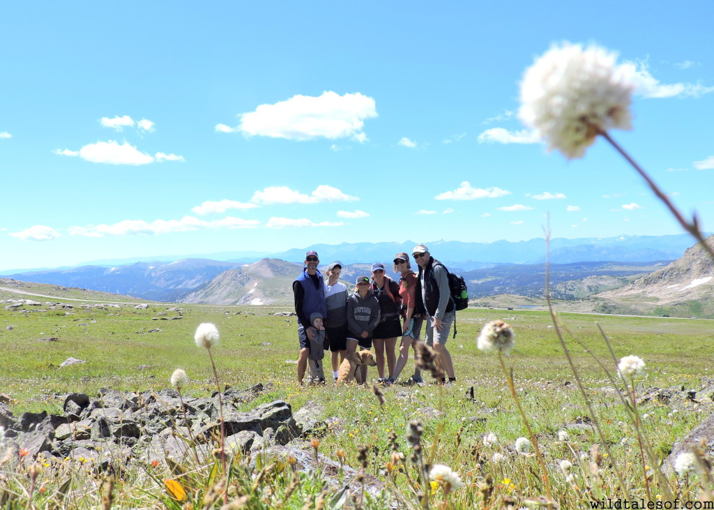 Red Lodge, Montana Adventures: Beartooth Highway | WildTalesof.com