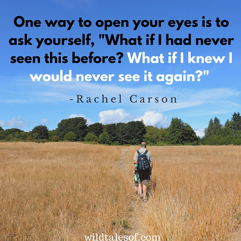 One way to open your eyes... | WildTalesof.com
