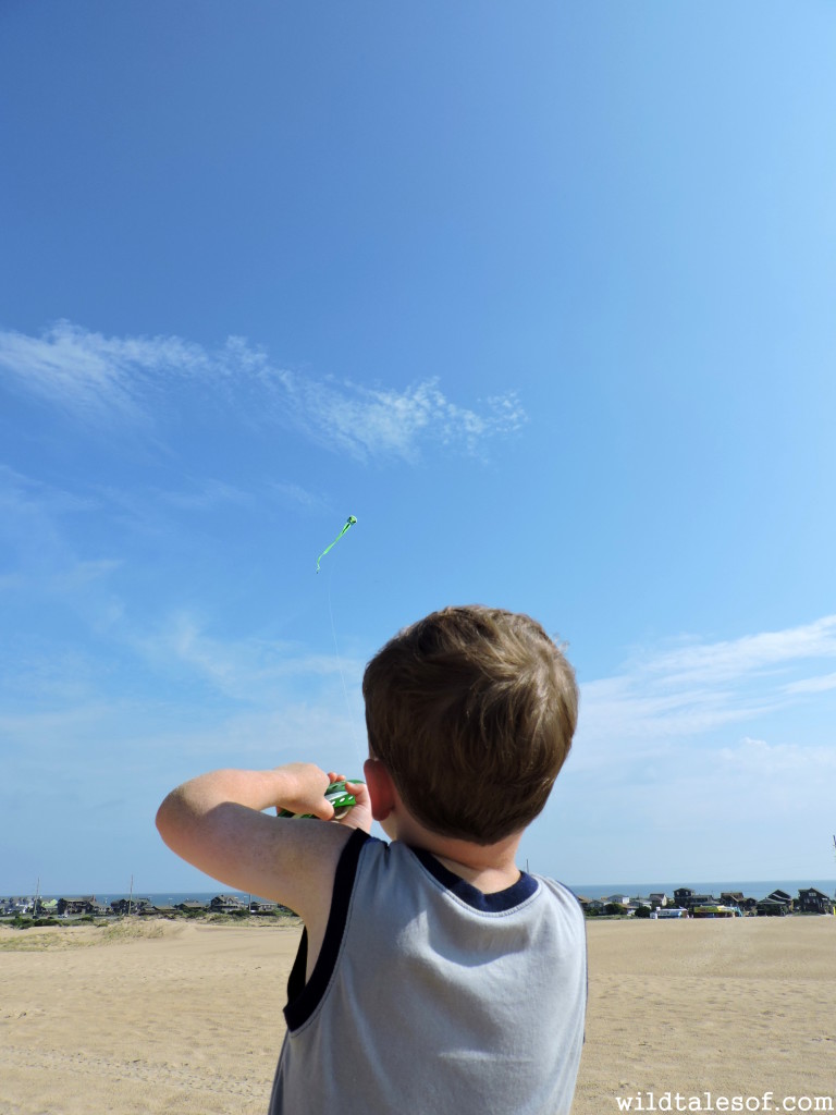 Kite Flying on Jockey's Ridge--Nagshead, NC | WildTalesof.com