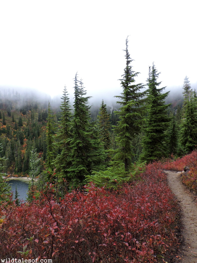 Lake Valhalla Trail--Central Cascades near Stevens Pass | WildTalesof.com