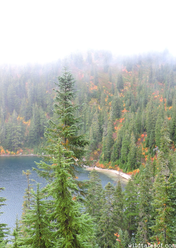 Lake Valhalla Trail--Central Cascades near Stevens Pass | WildTalesof.com