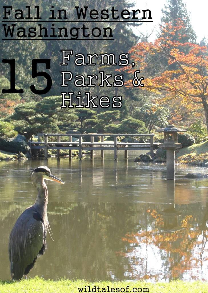 15 Western Washington Farms, Parks & Hikes to Enjoy in Fall | WildTalesof.com