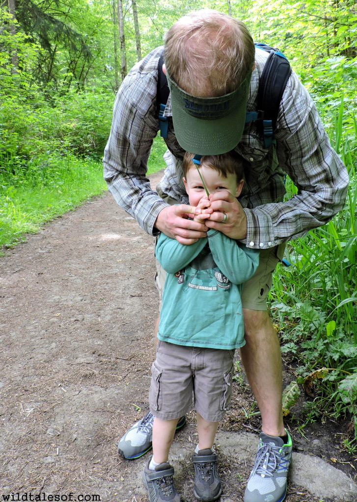 Things to do with your preschooler on a hike |WildTalesof.com