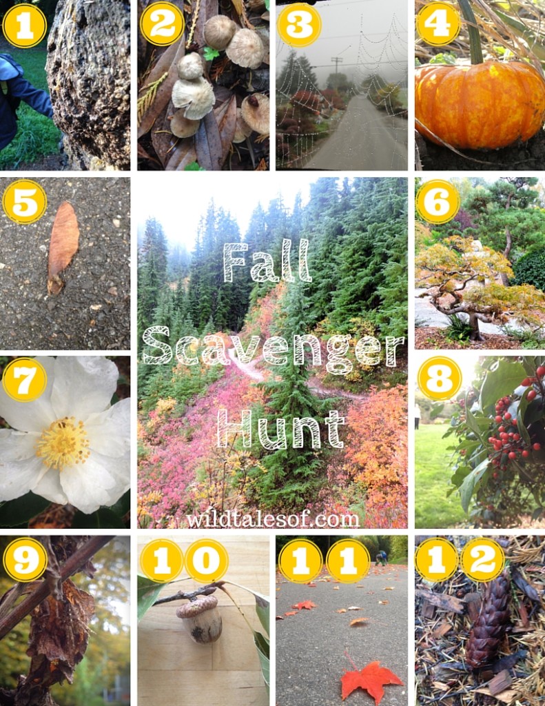 Fall Scavenger Hunt for Kids Printable | WildTalesof.com