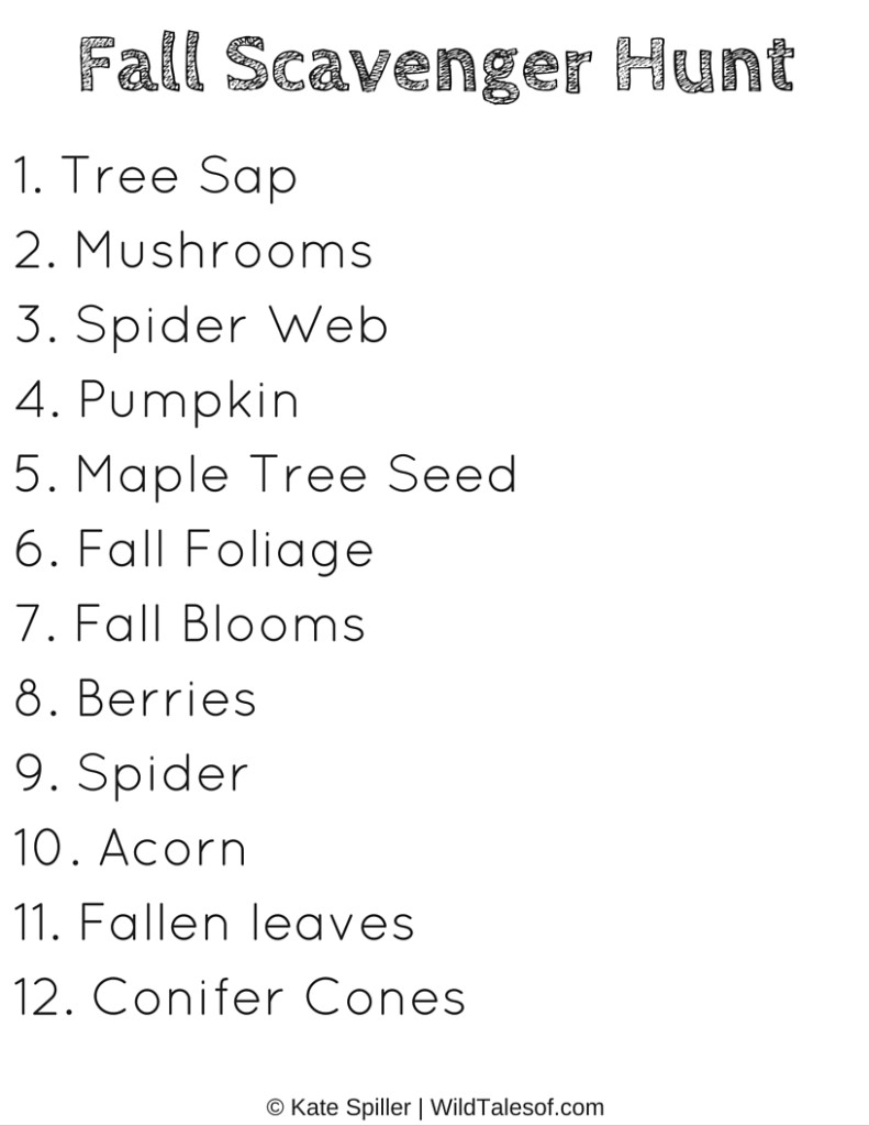 Fall Scavenger Hunt for Kids Printable | WildTalesof.com