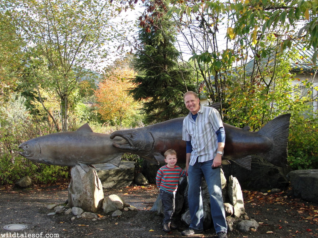 Issaquah Salmon Hatchery in the fall | WildTalesof.com