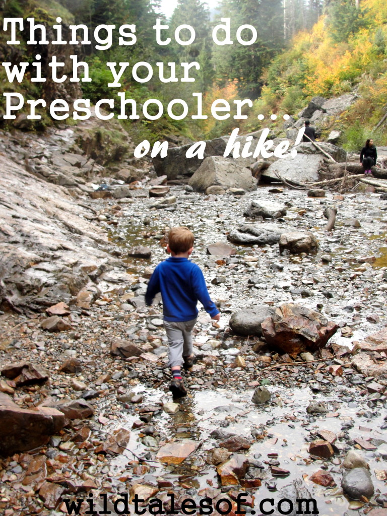 Things to do with your preschooler on a hike |WildTalesof.com