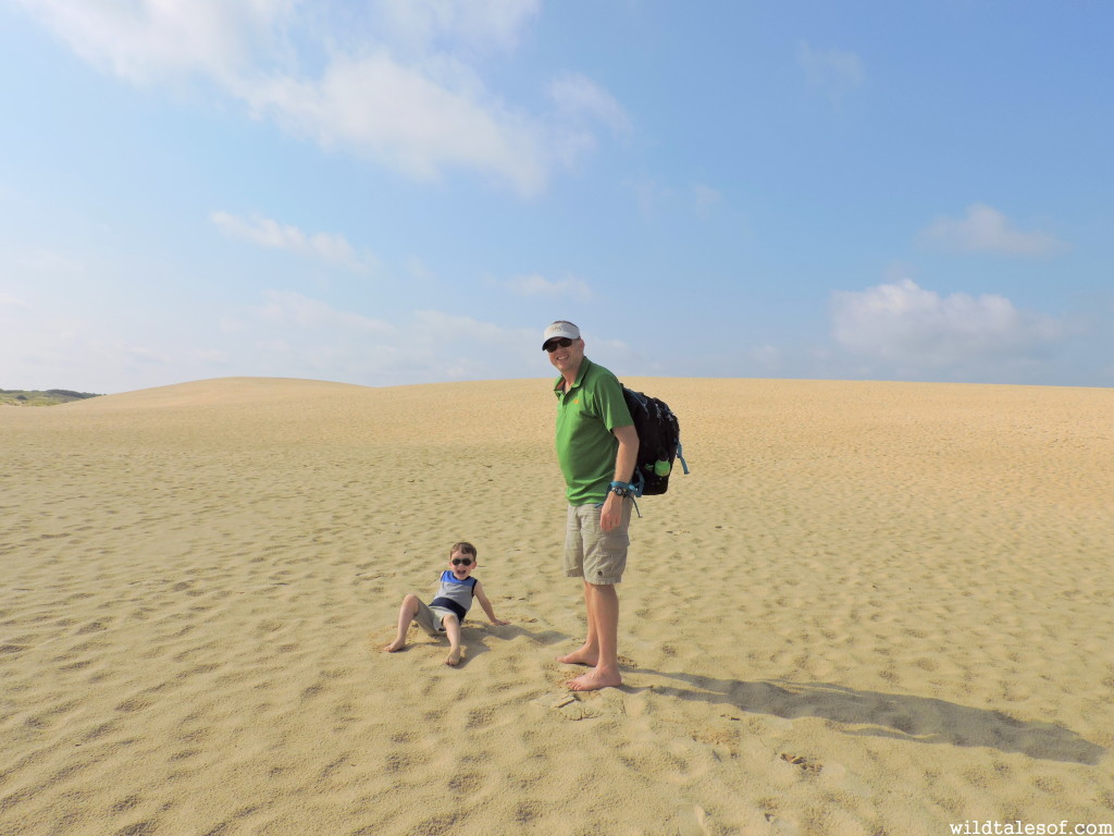 Visiting Jockey's Ridge State Park with Kids | WildTalesof.com