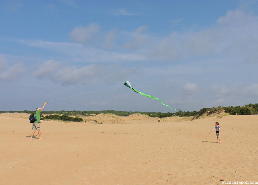 Visiting Jockey's Ridge State Park with Kids | WildTalesof.com