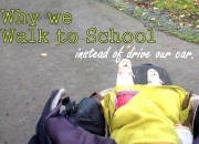 Why we walk to school instead of drive our car| WildTalesof.com