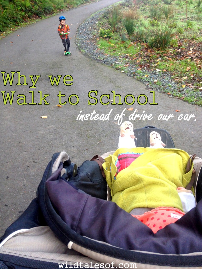 Why we walk to school instead of drive our car| WildTalesof.com