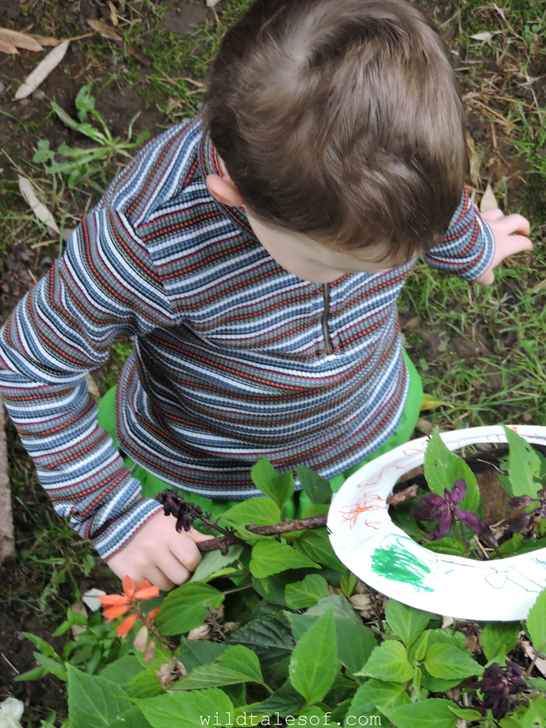 Lessons from Forest School--Seeing More with a Noticer | WildTalesof.com