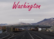Wenatchee, Washington | WildTalesof.com