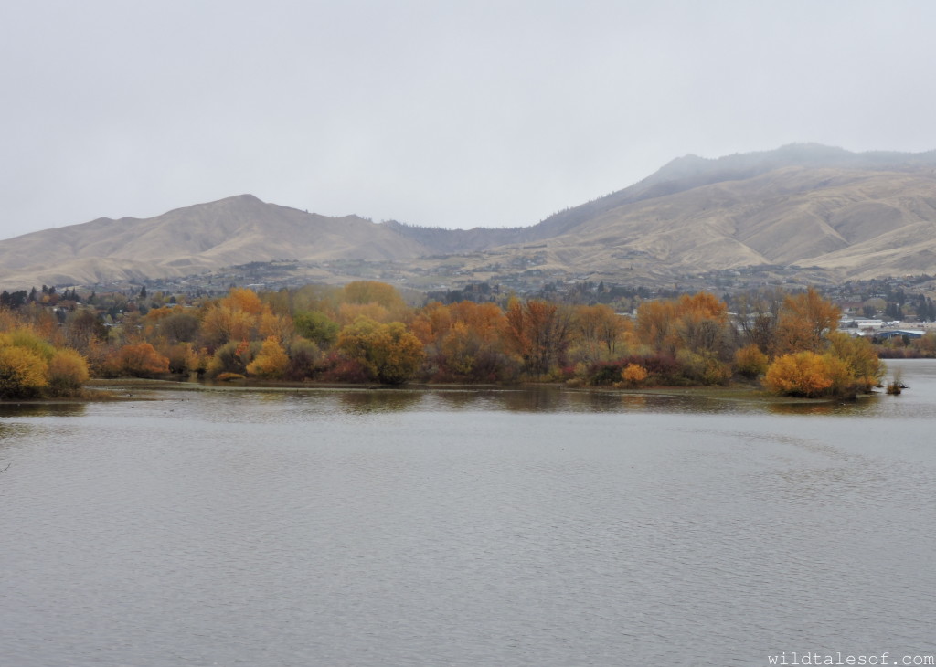 Visiting Wenatchee, Washington with Kids | WildTalesof.com