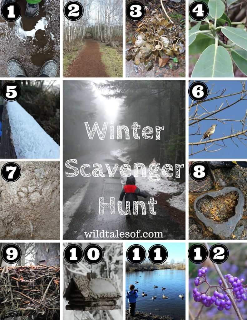 Winter Scavenger Hunt (with Printable) for Kids |WildTalesof.com