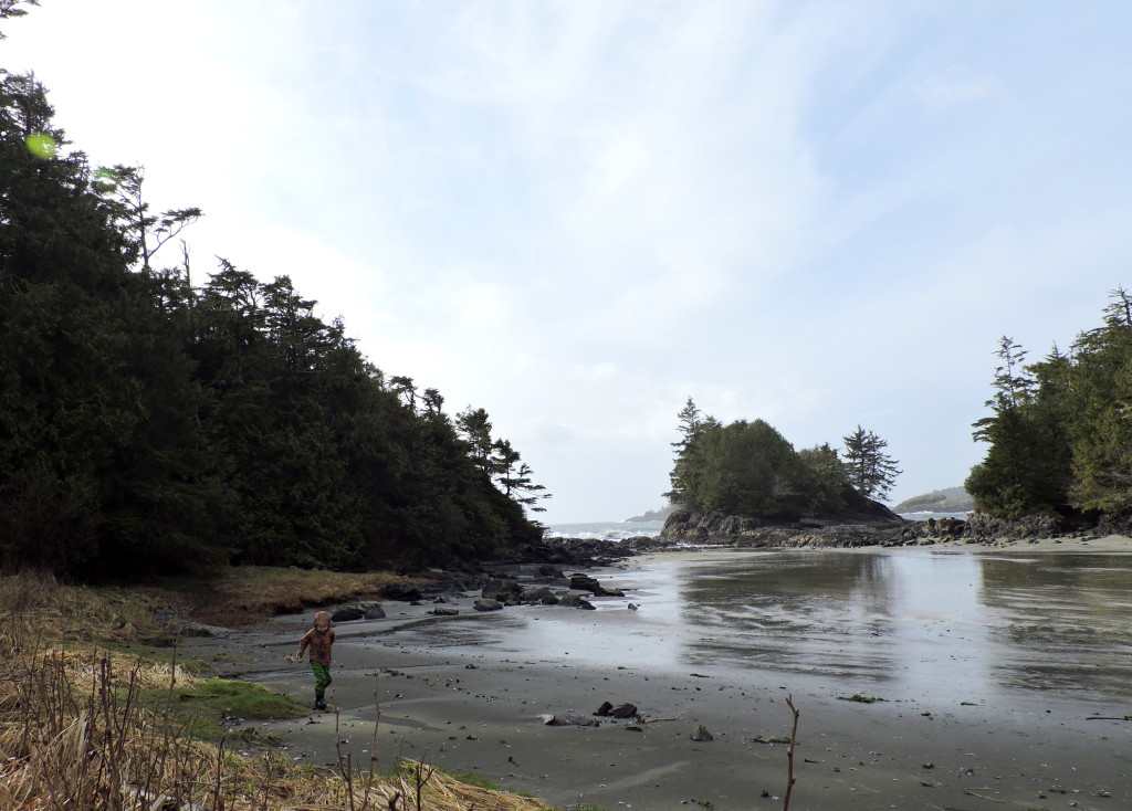 Vancouver Island Family Road Trip to Victoria & Tofino: 7-Day Itinerary | WildTalesof.com