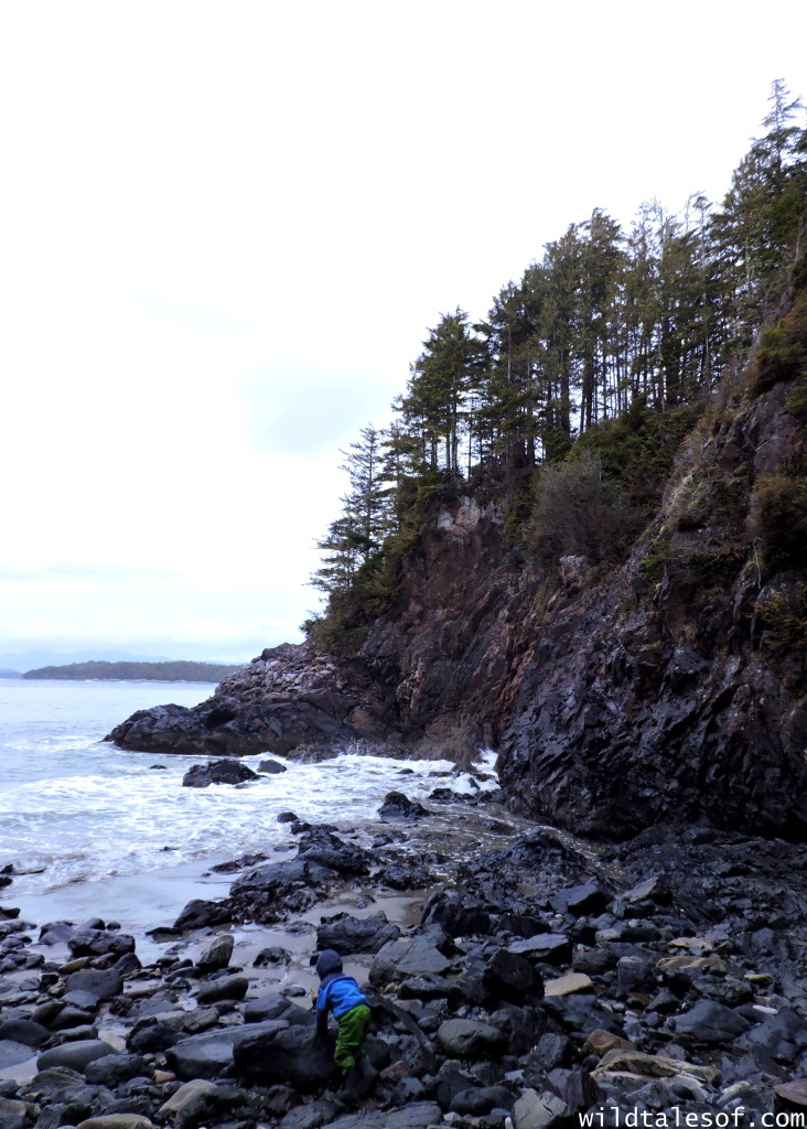 Vancouver Island Family Road Trip to Victoria & Tofino: 7-Day Itinerary | WildTalesof.com