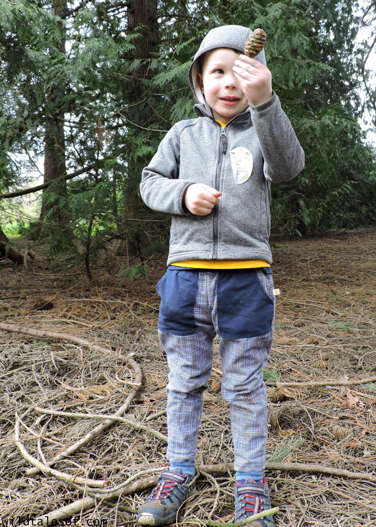 Exploring Nature with Kids: Conifer Cone Search