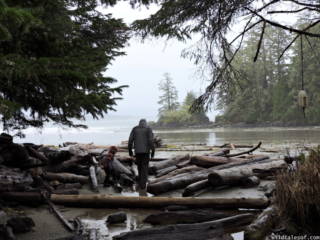 Hiking with Kids: Pacific Rim National Reserve Park's (Long Beach Unit) Schooner Beach Trail | WildTalesof.com