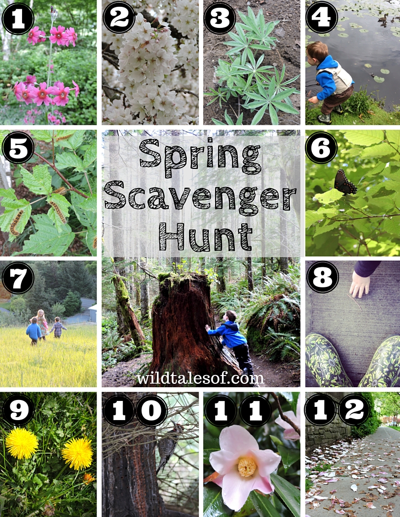 Spring Wildflower Scavenger Hunt — Tennessee State Parks